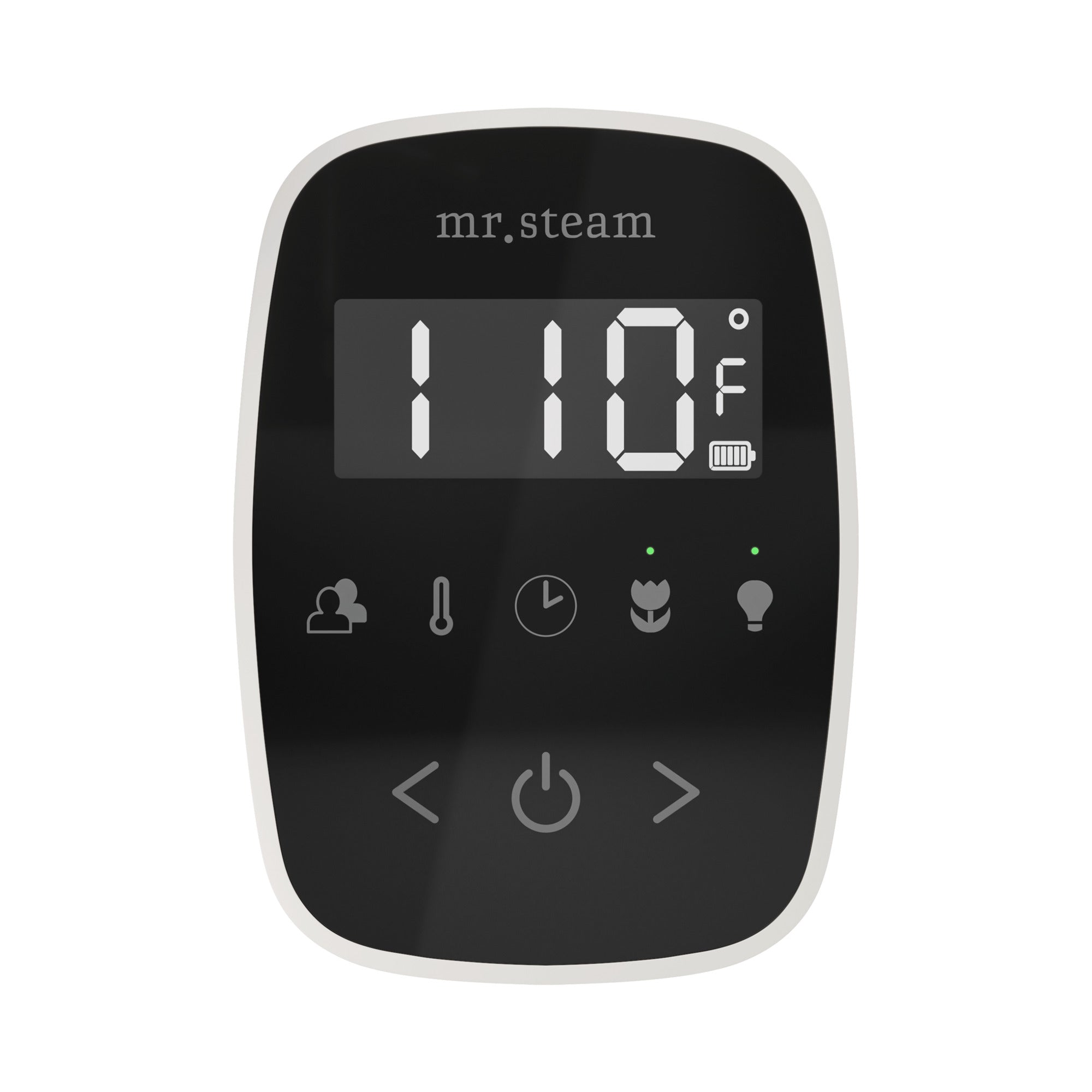 Mr. Steam TempoFlex Steam Shower Control and Steamhead