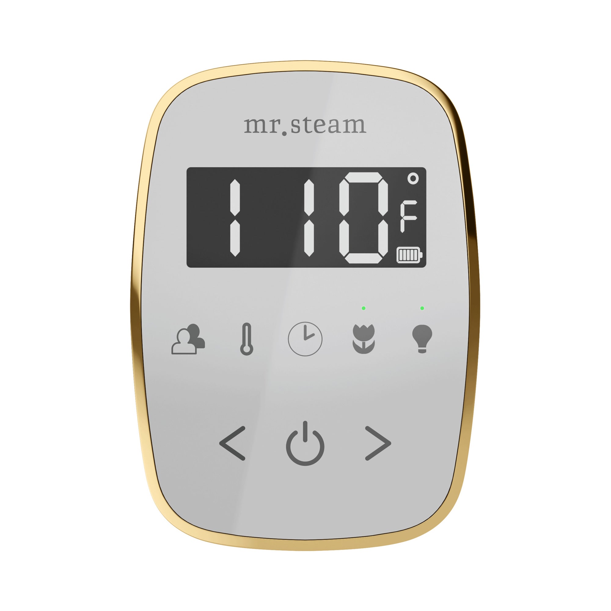 Mr. Steam TempoFlex Steam Shower Control and Steamhead