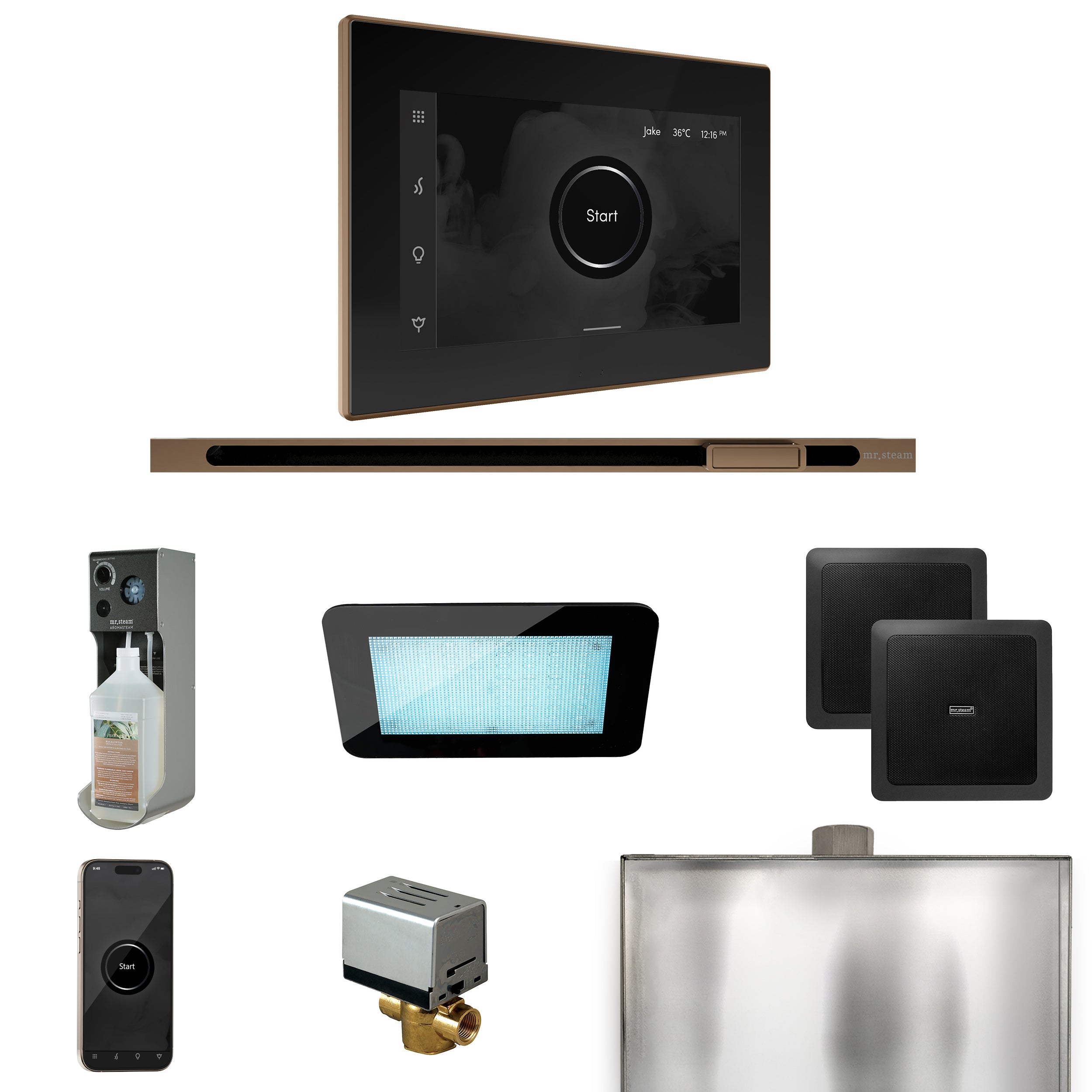 Mr. Steam XDream Steam Shower Control Package with iSteamX Control and Linear Steamhead
