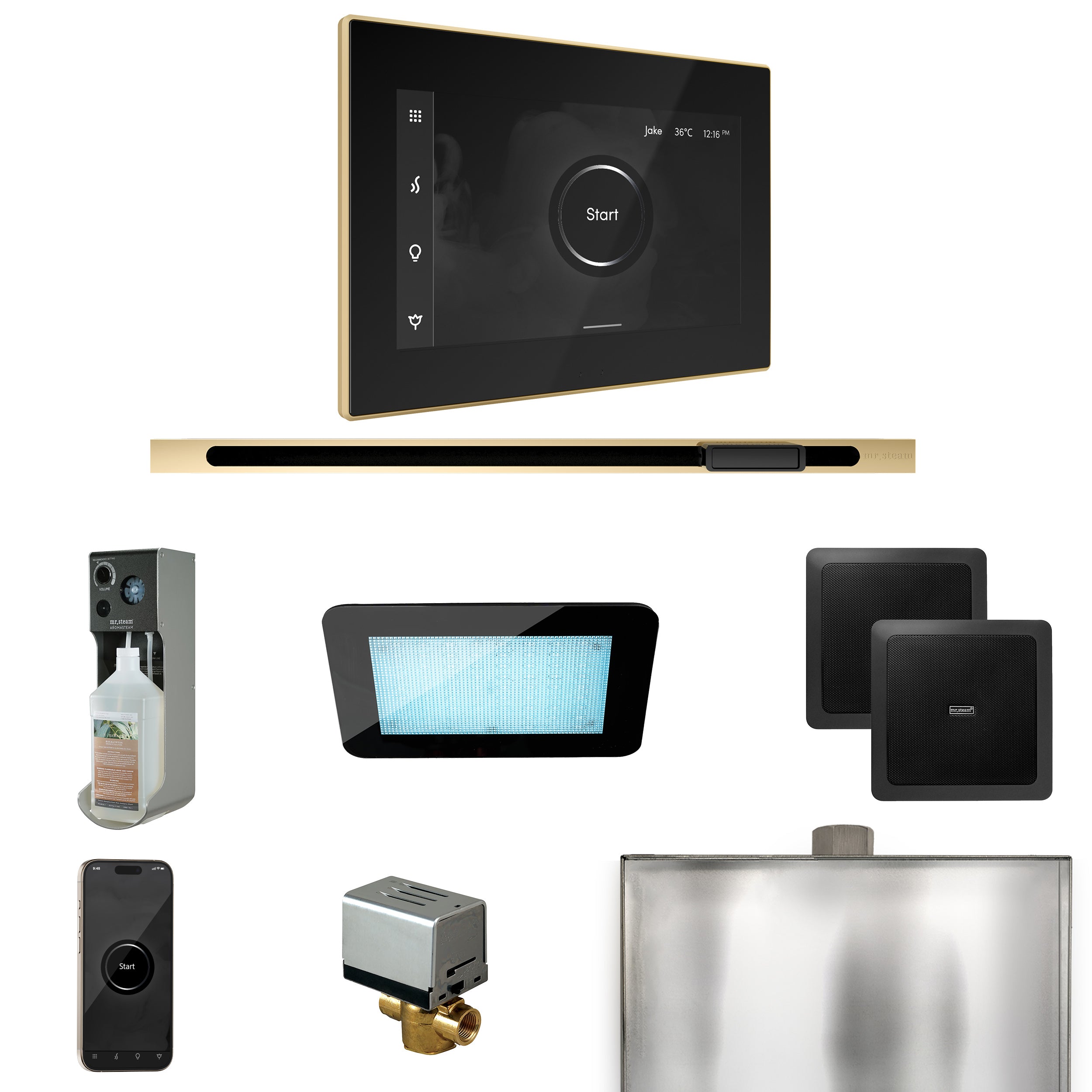 Mr. Steam XDream Steam Shower Control Package with iSteamX Control and Linear Steamhead