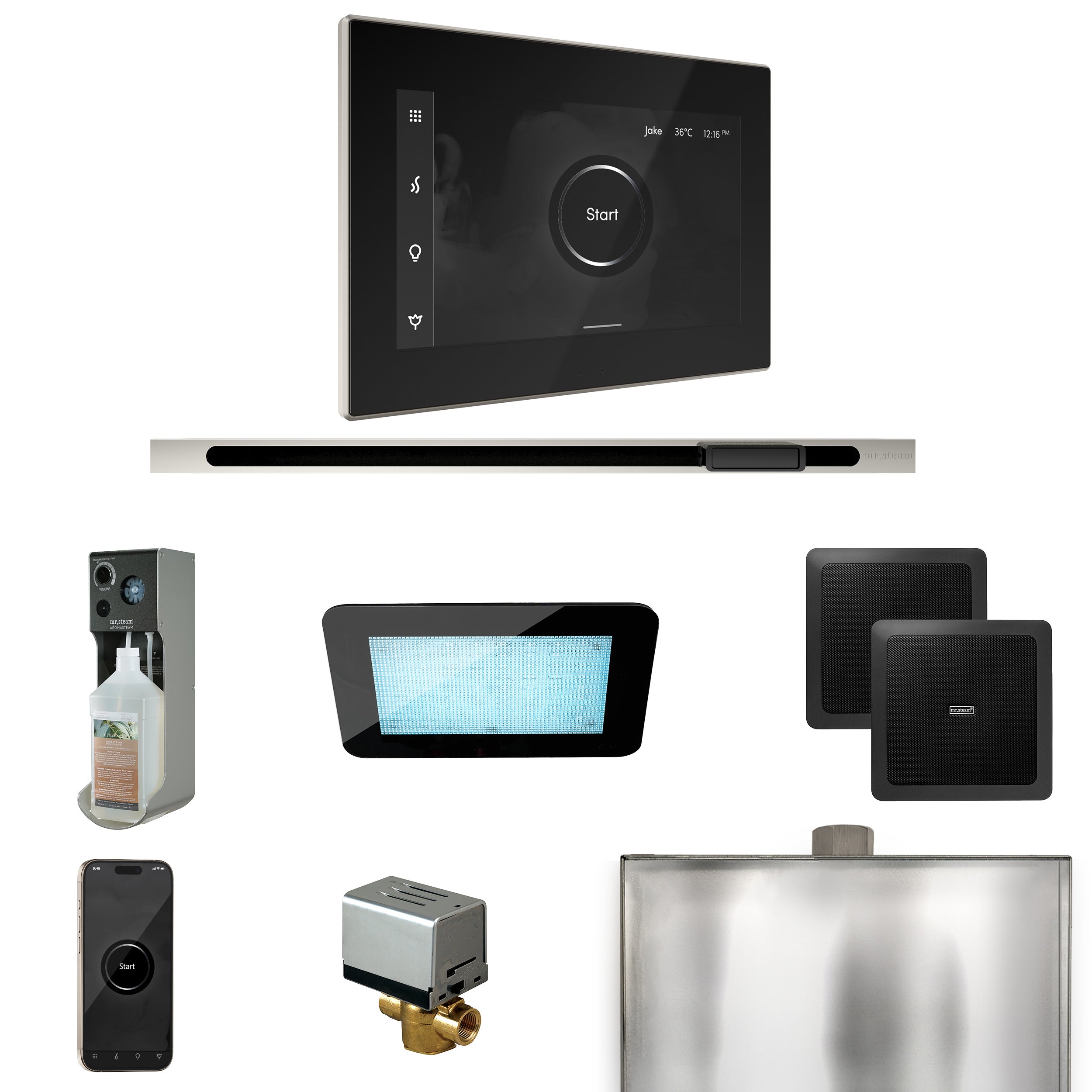 Mr. Steam XDream Steam Shower Control Package with iSteamX Control and Linear Steamhead