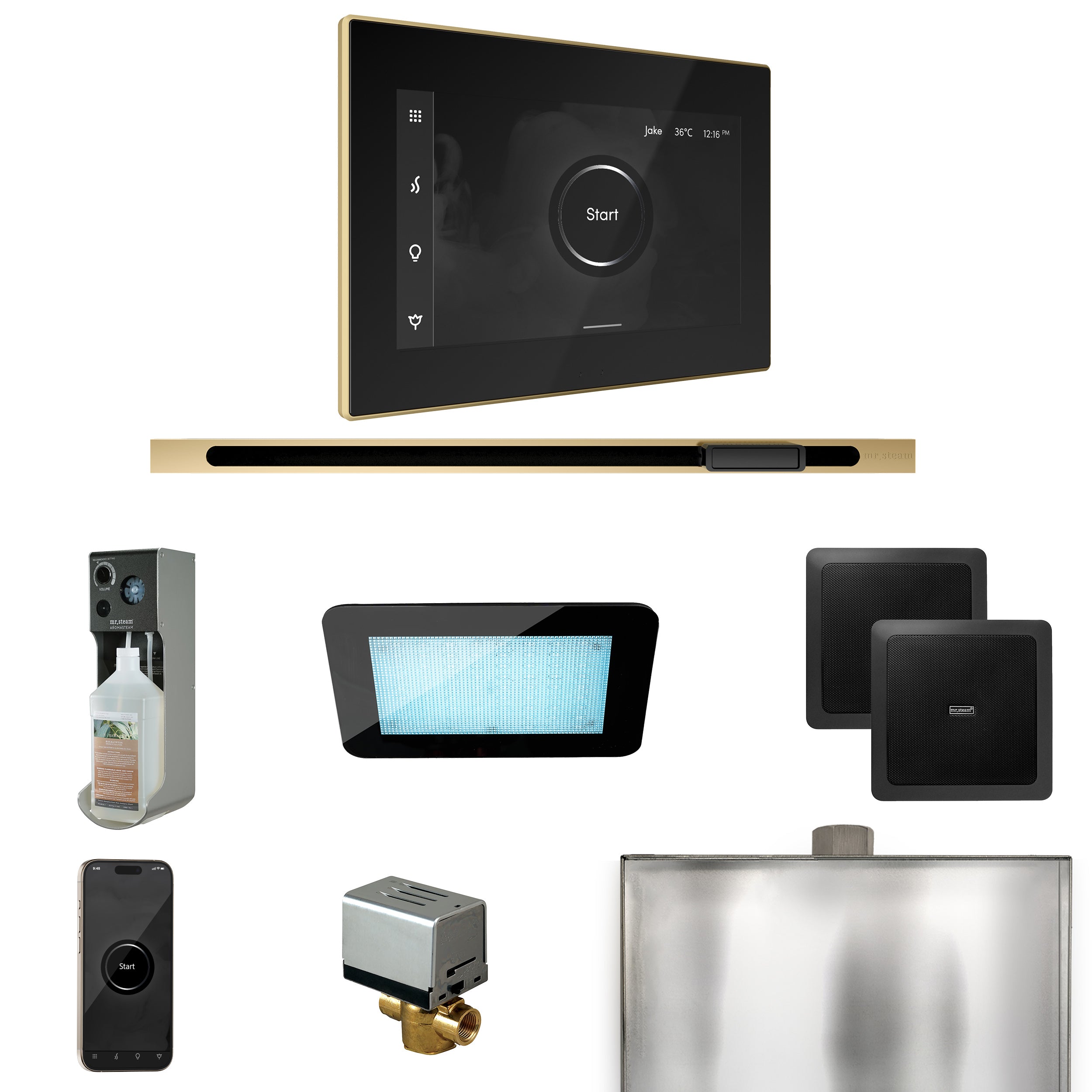Mr. Steam XDream Steam Shower Control Package with iSteamX Control and Linear Steamhead