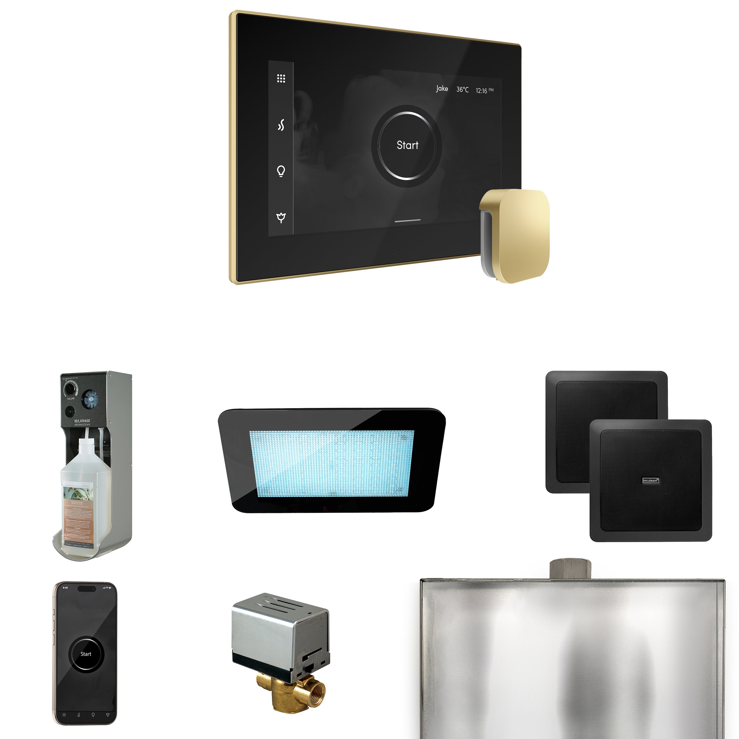 Mr. Steam XDream Steam Shower Control Package with iSteamX Control and Steamhead