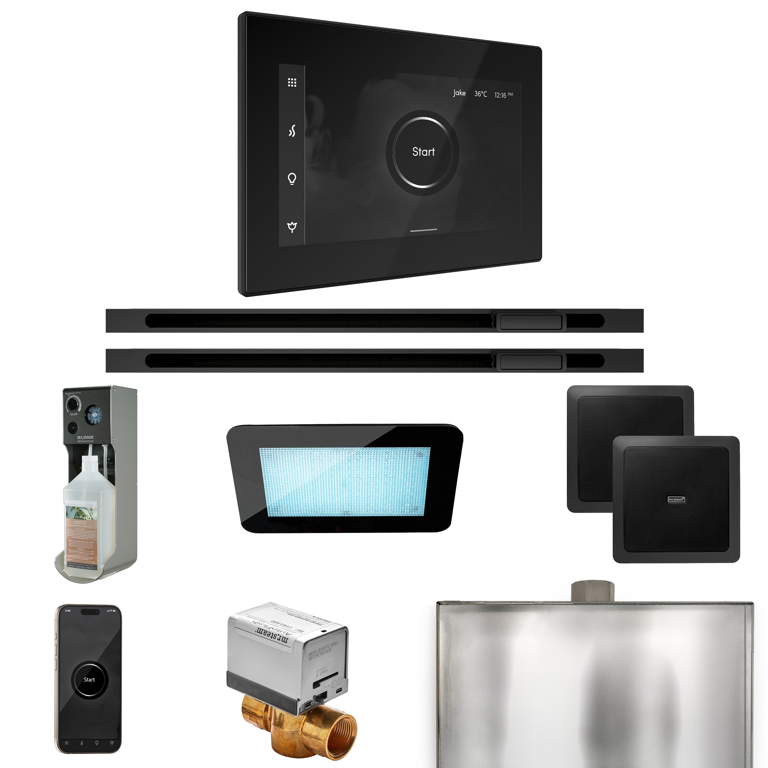 Mr. Steam Xdream Max Steam Shower Control Package with iSteamX Control and Linear Steamhead