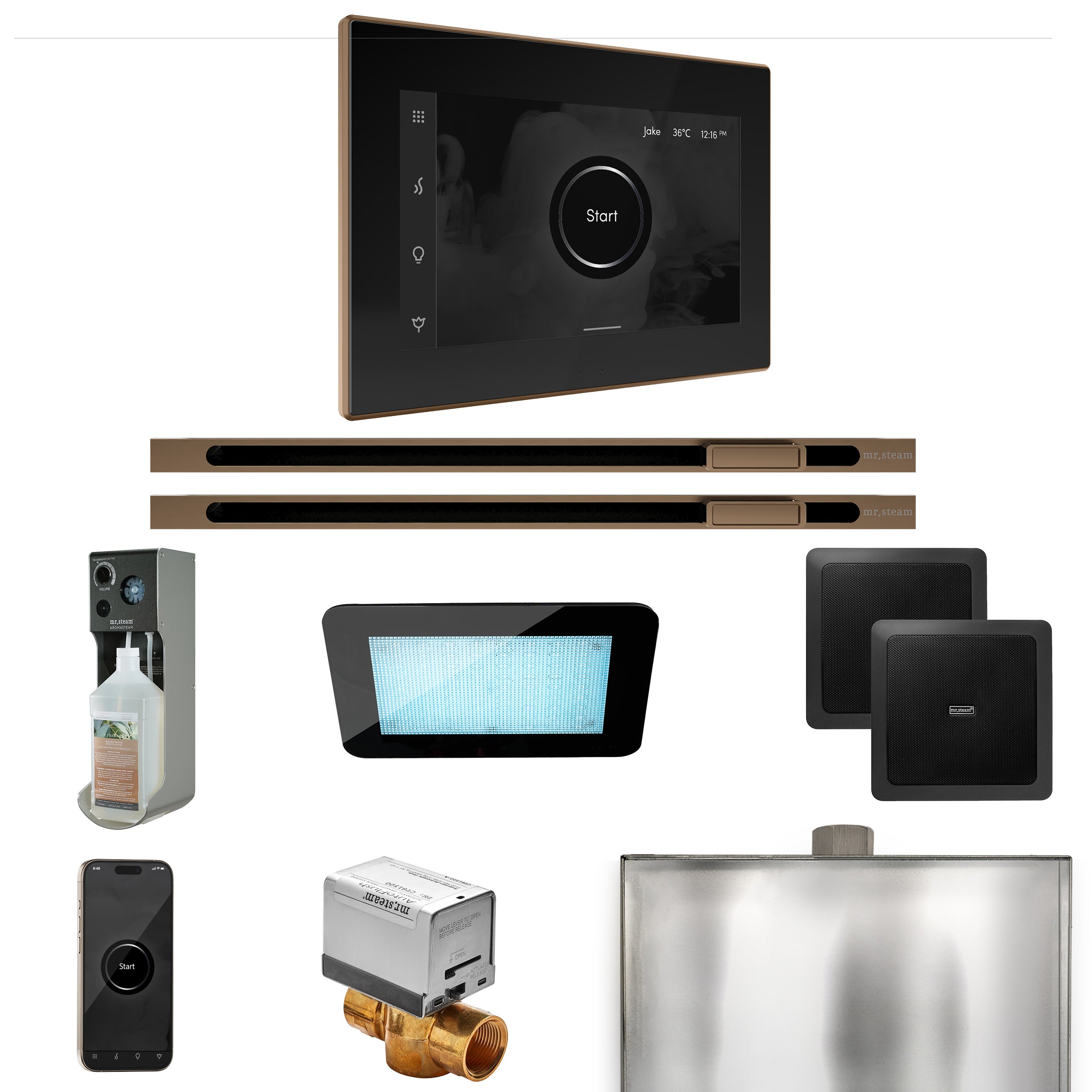 Mr. Steam Xdream Max Steam Shower Control Package with iSteamX Control and Linear Steamhead