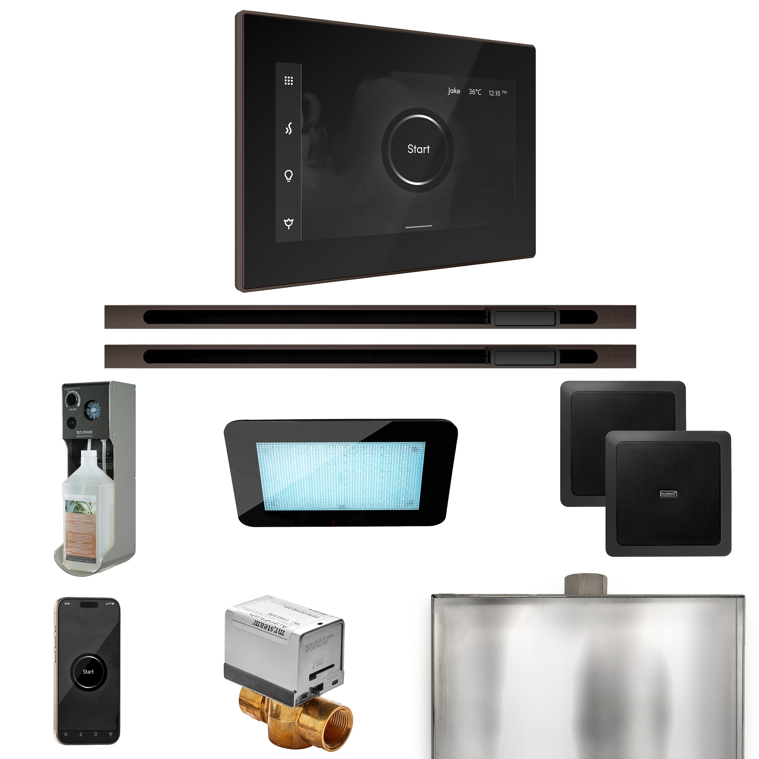 Mr. Steam Xdream Max Steam Shower Control Package with iSteamX Control and Linear Steamhead