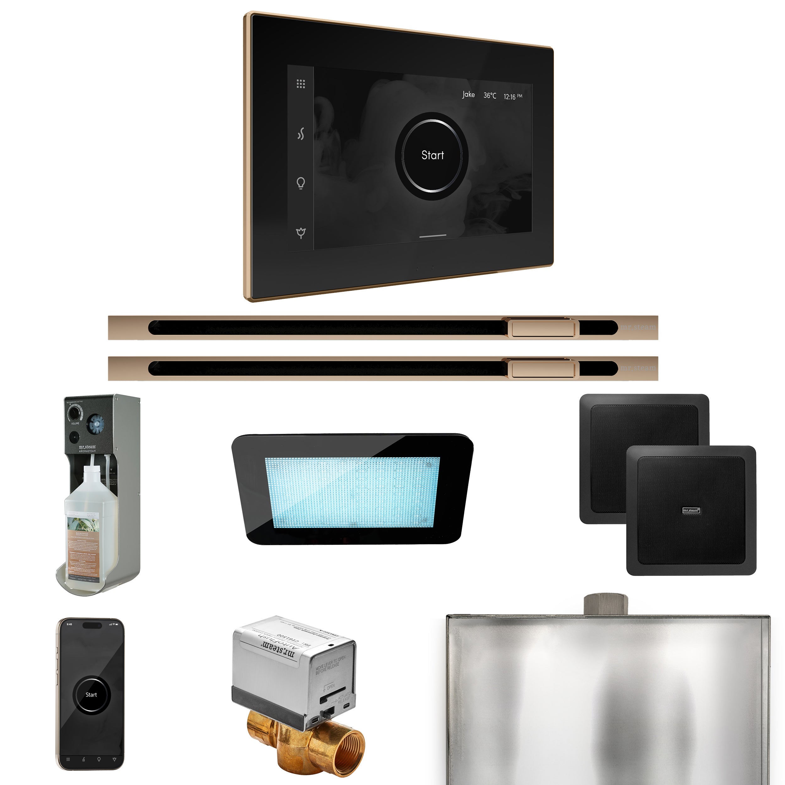 Mr. Steam Xdream Max Steam Shower Control Package with iSteamX Control and Linear Steamhead