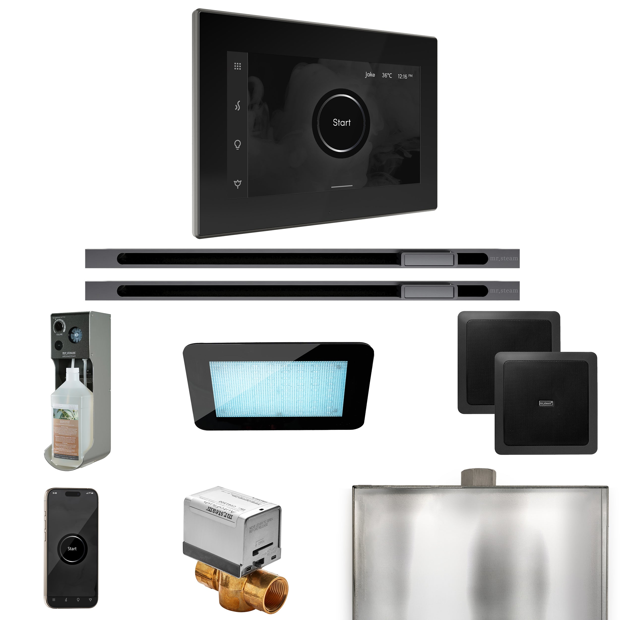 Mr. Steam Xdream Max Steam Shower Control Package with iSteamX Control and Linear Steamhead