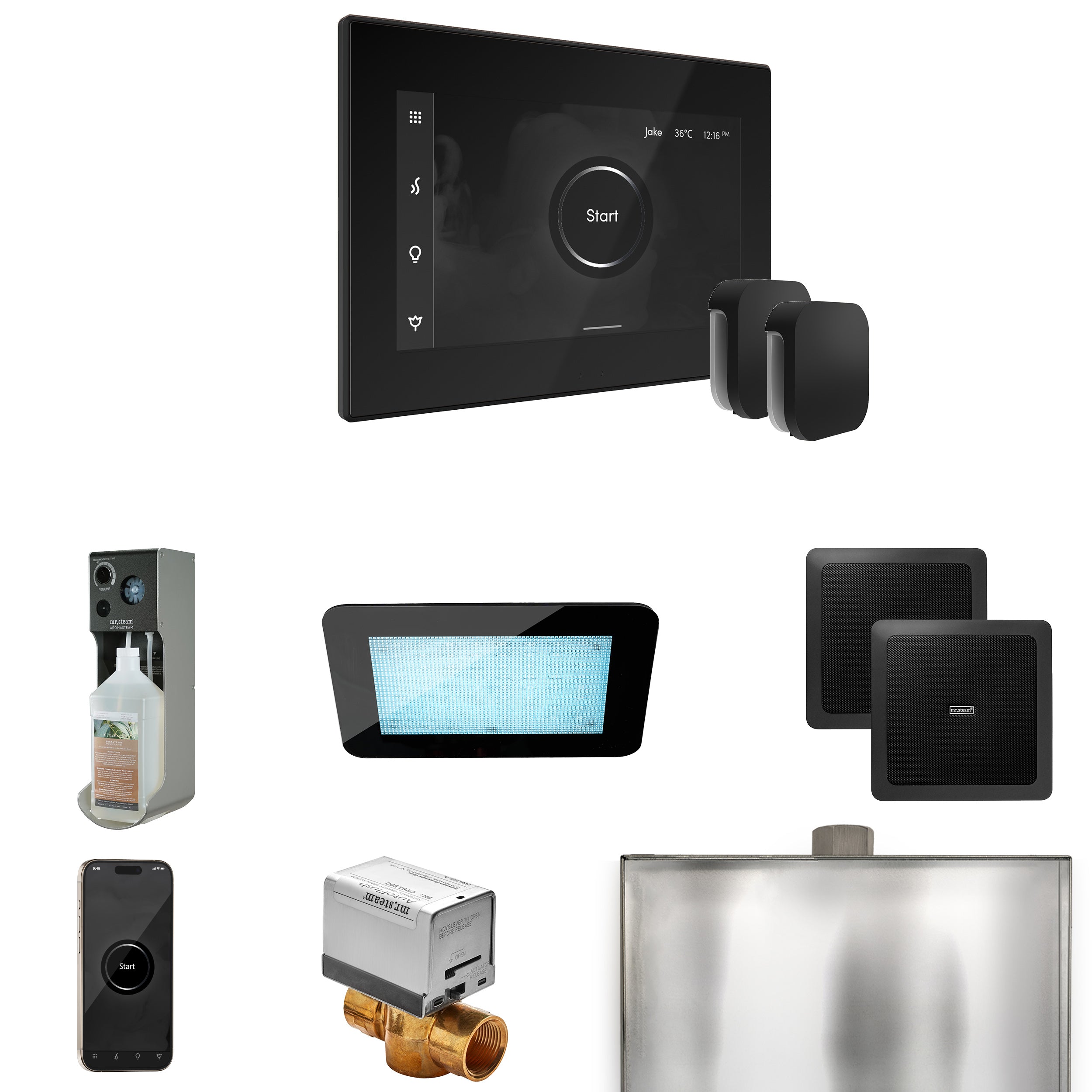 Mr. Steam Xdream Max Steam Shower Control Package with iSteamX Control and Steamhead