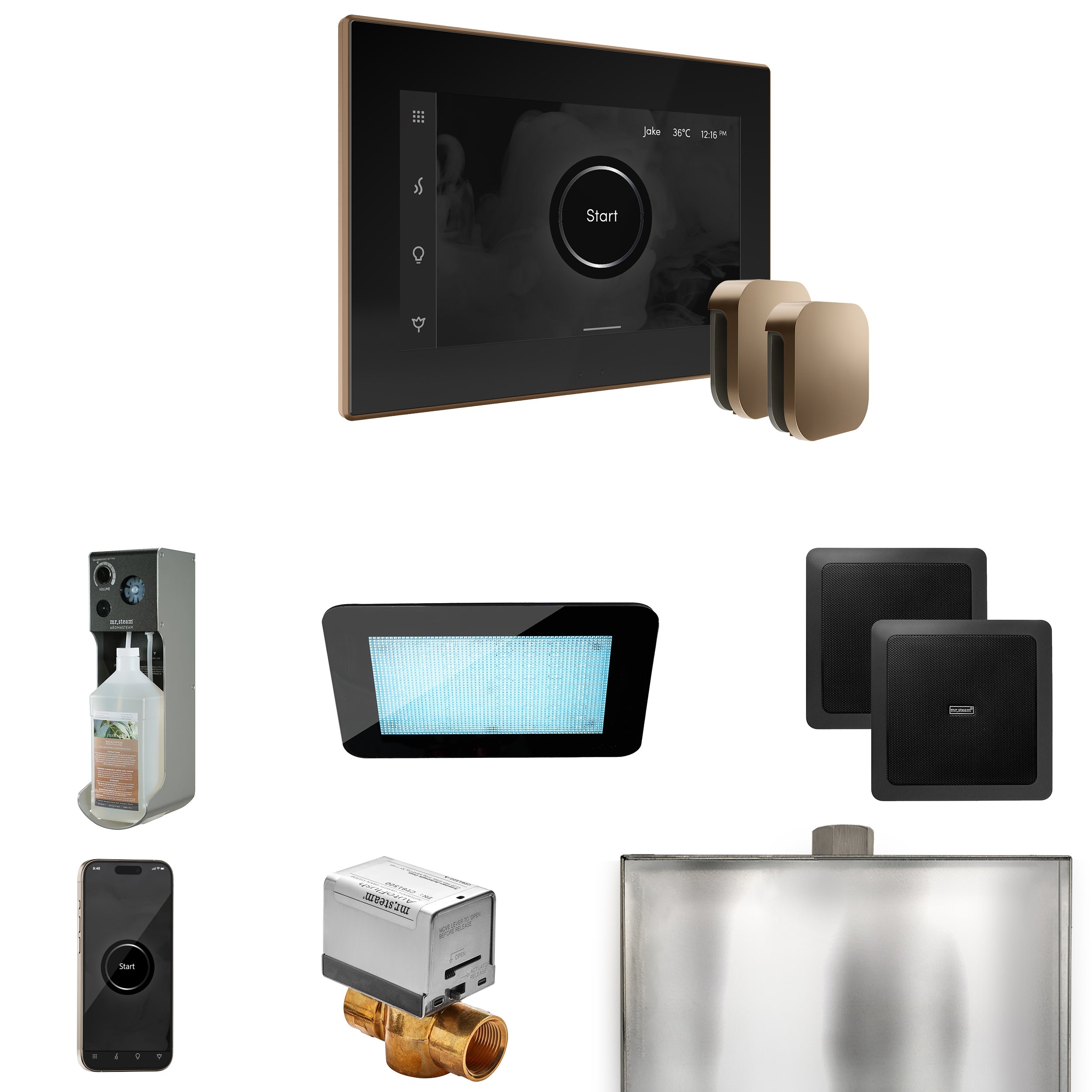 Mr. Steam Xdream Max Steam Shower Control Package with iSteamX Control and Steamhead