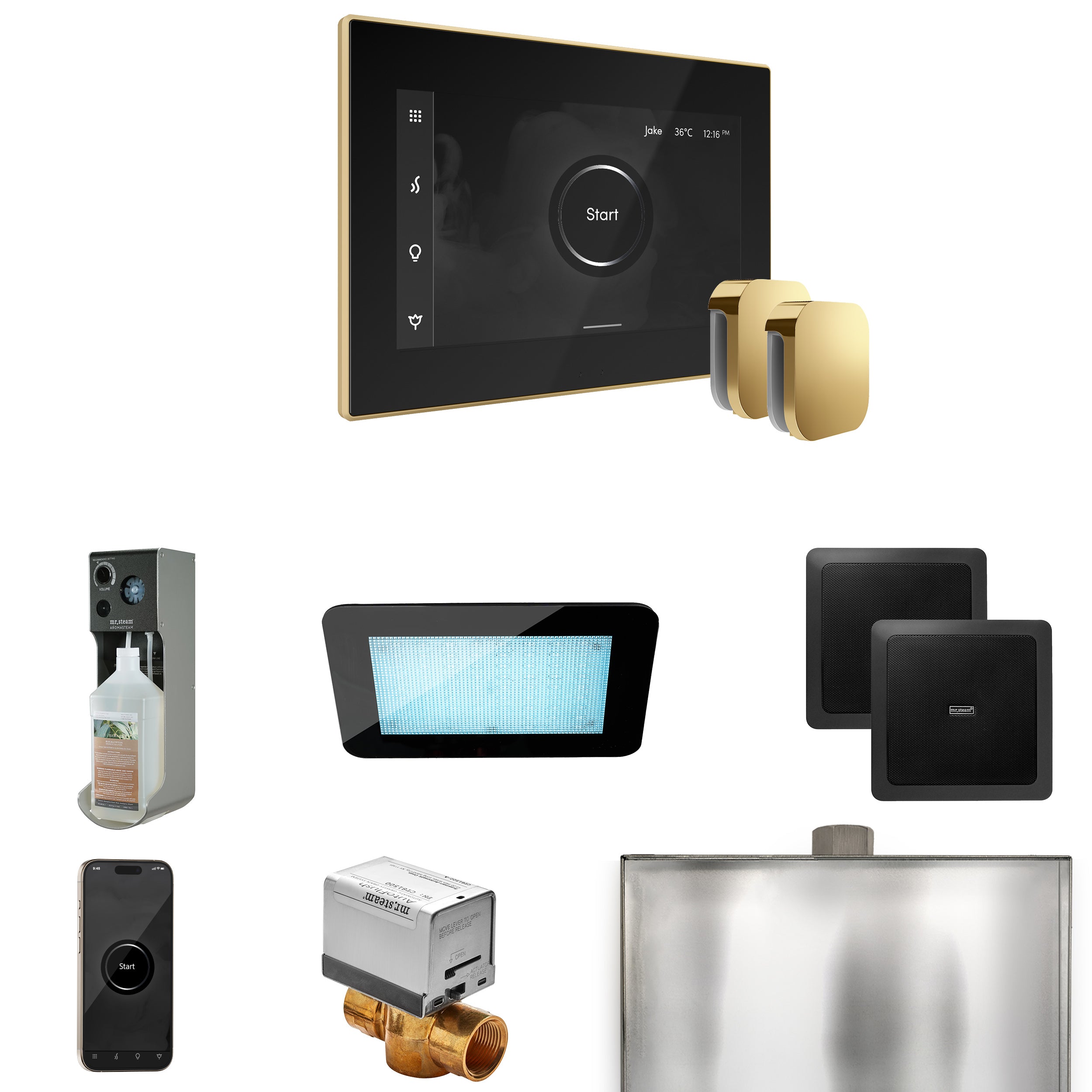 Mr. Steam Xdream Max Steam Shower Control Package with iSteamX Control and Steamhead