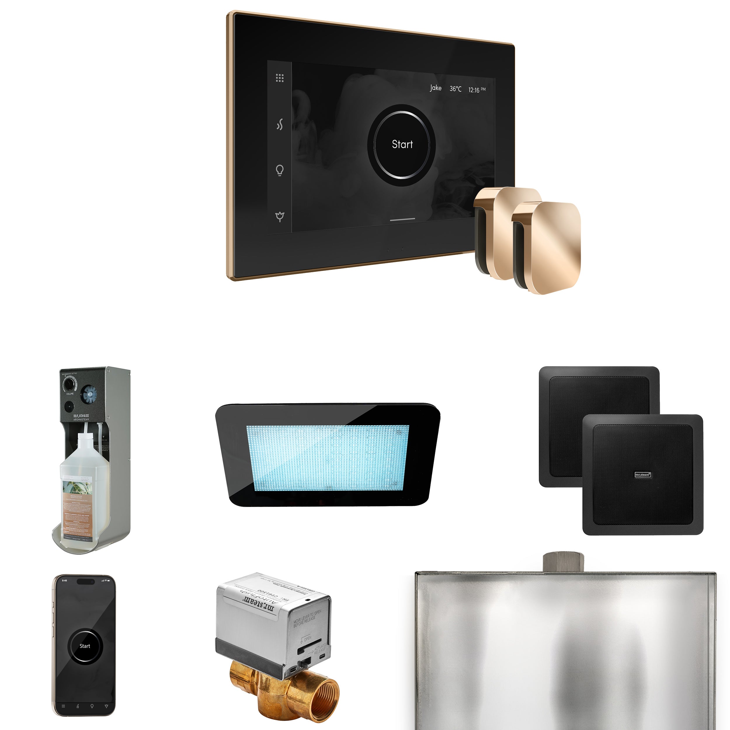 Mr. Steam Xdream Max Steam Shower Control Package with iSteamX Control and Steamhead