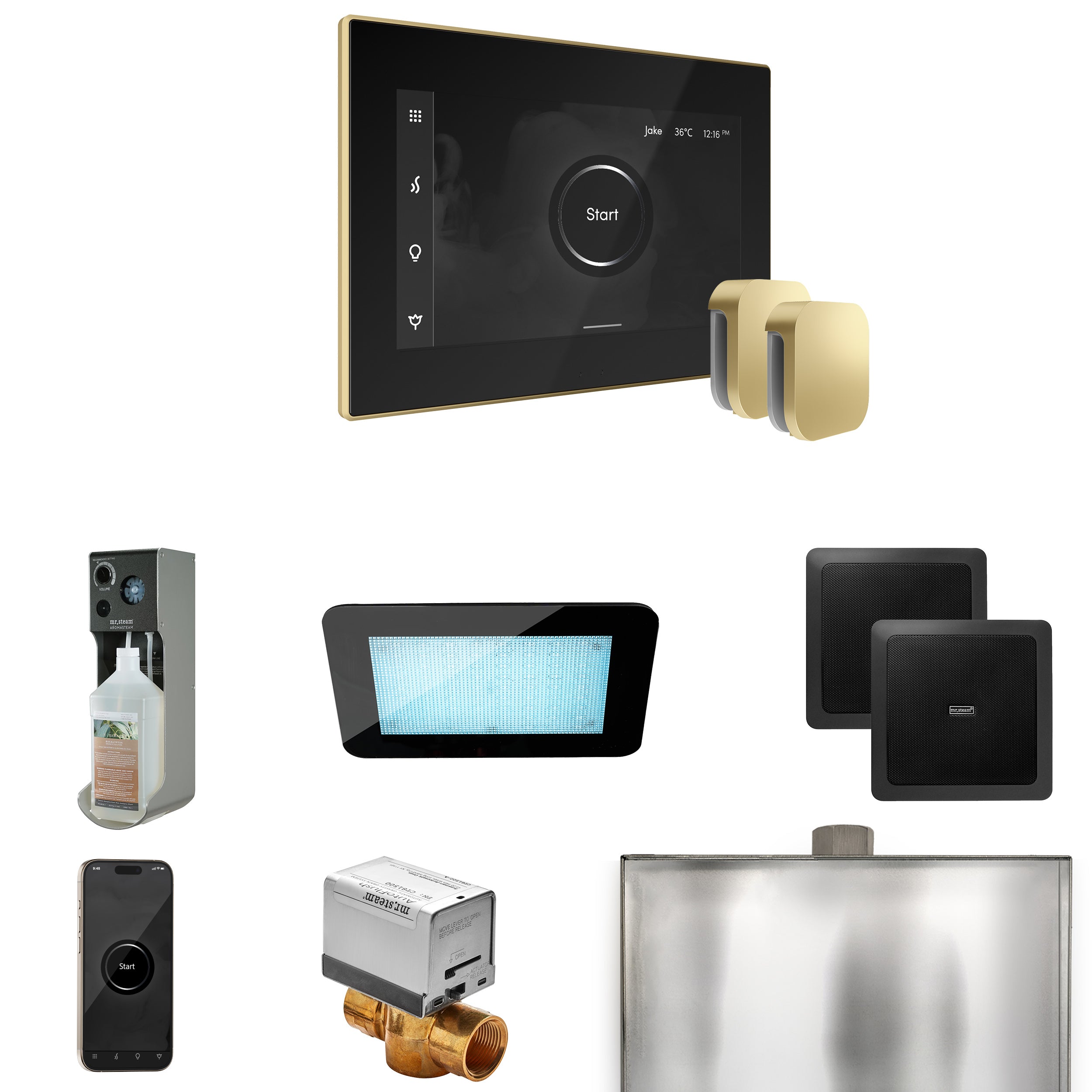 Mr. Steam Xdream Max Steam Shower Control Package with iSteamX Control and Steamhead