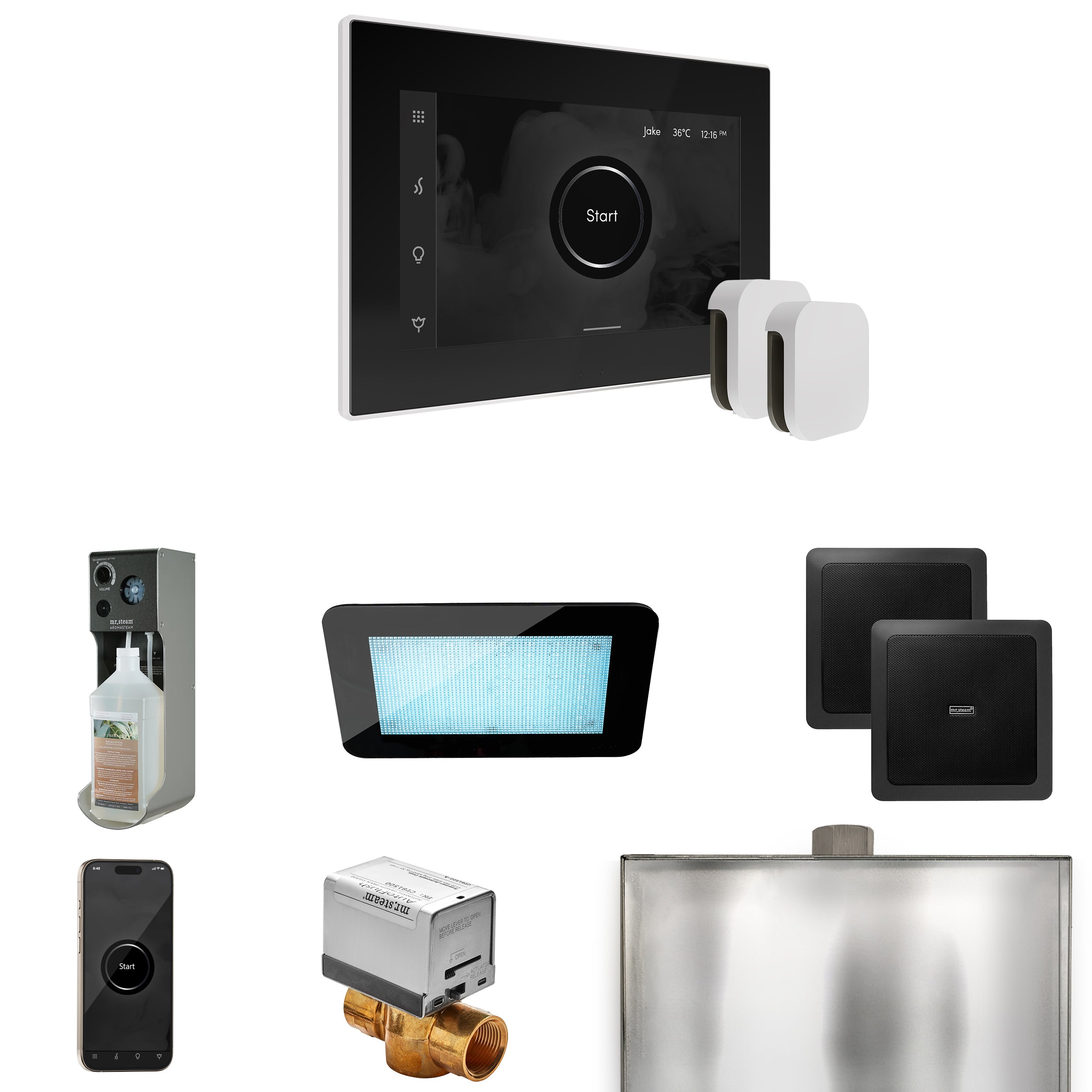 Mr. Steam Xdream Max Steam Shower Control Package with iSteamX Control and Steamhead