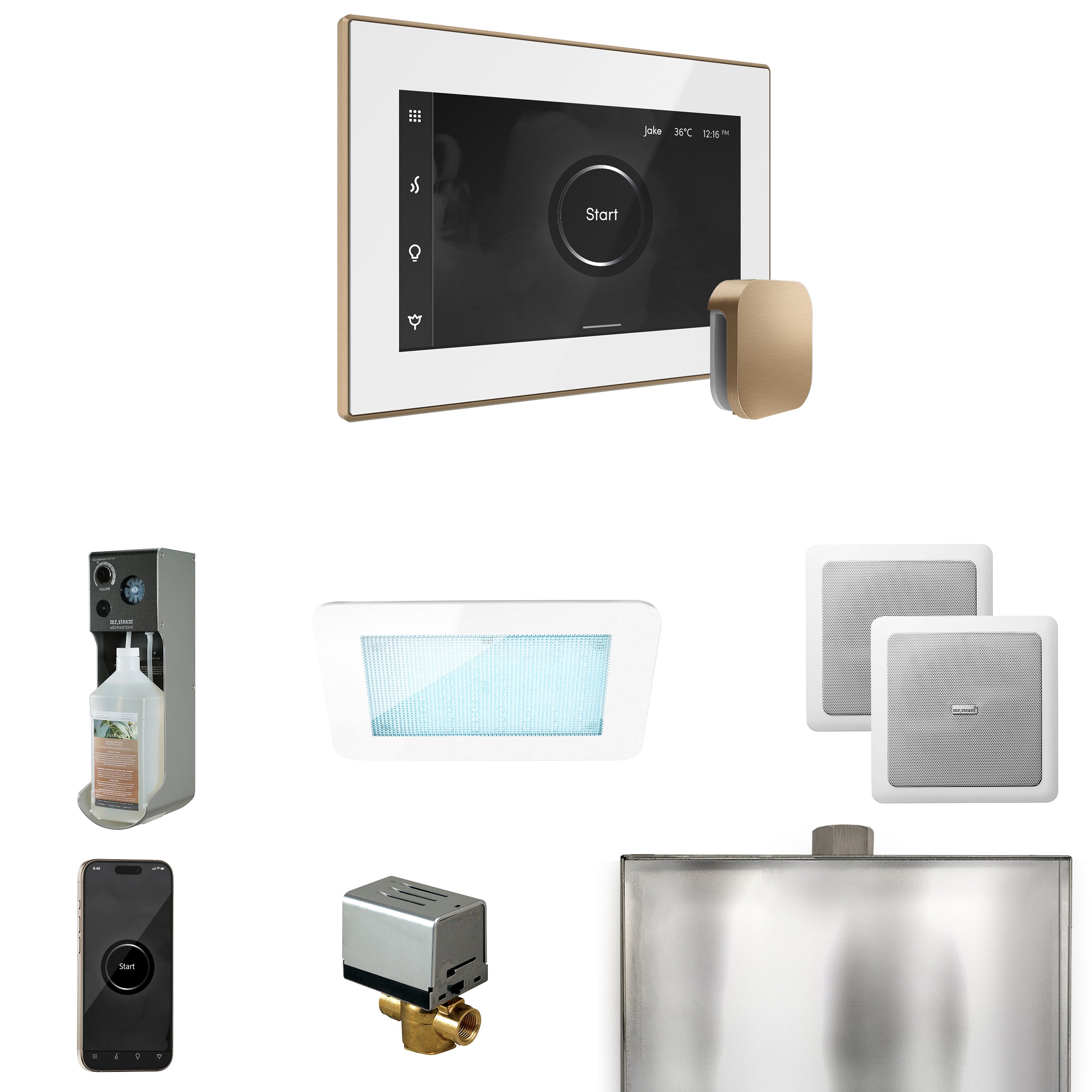 Mr. Steam XDream Steam Shower Control Package with iSteamX Control and Steamhead