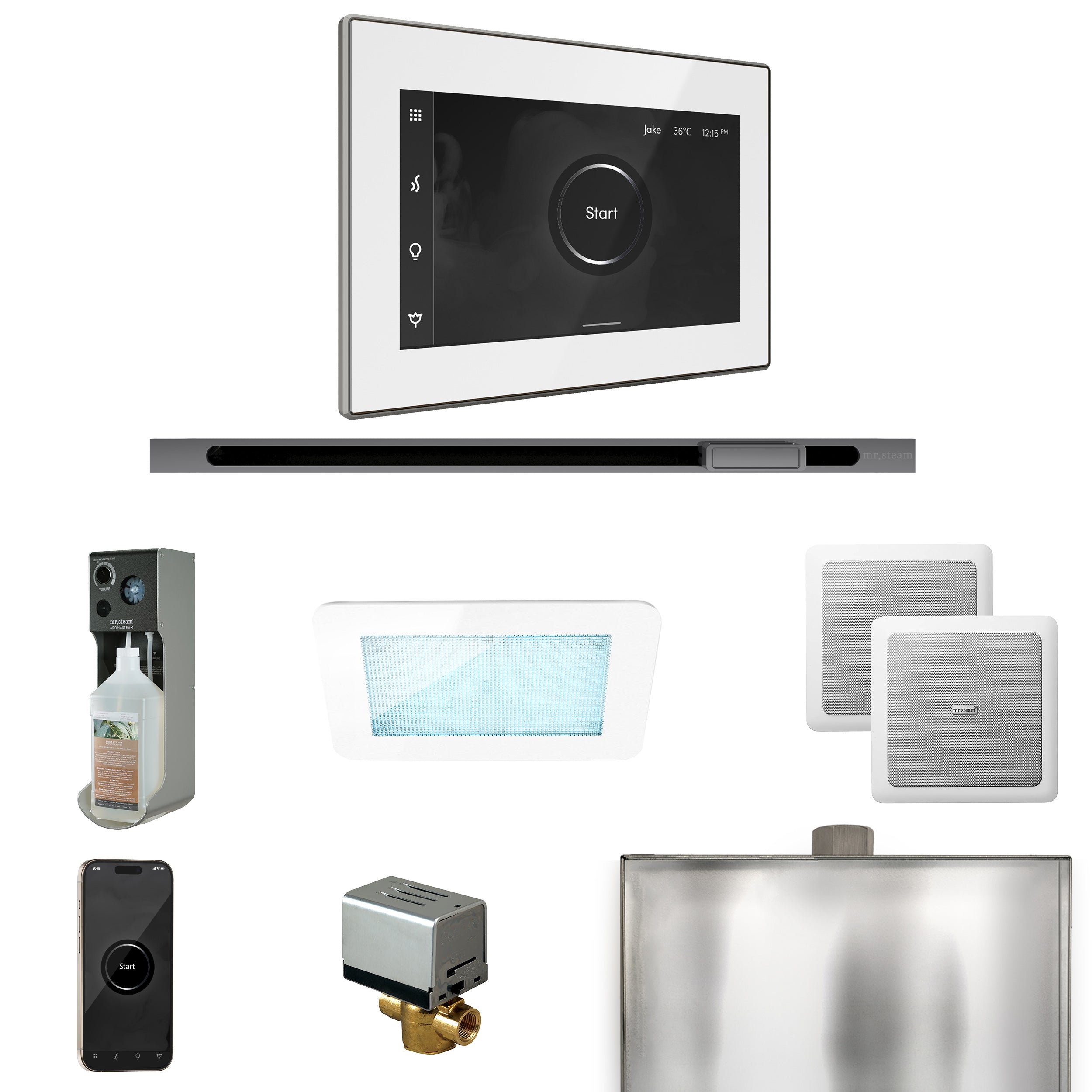 Mr. Steam XDream Steam Shower Control Package with iSteamX Control and Linear Steamhead