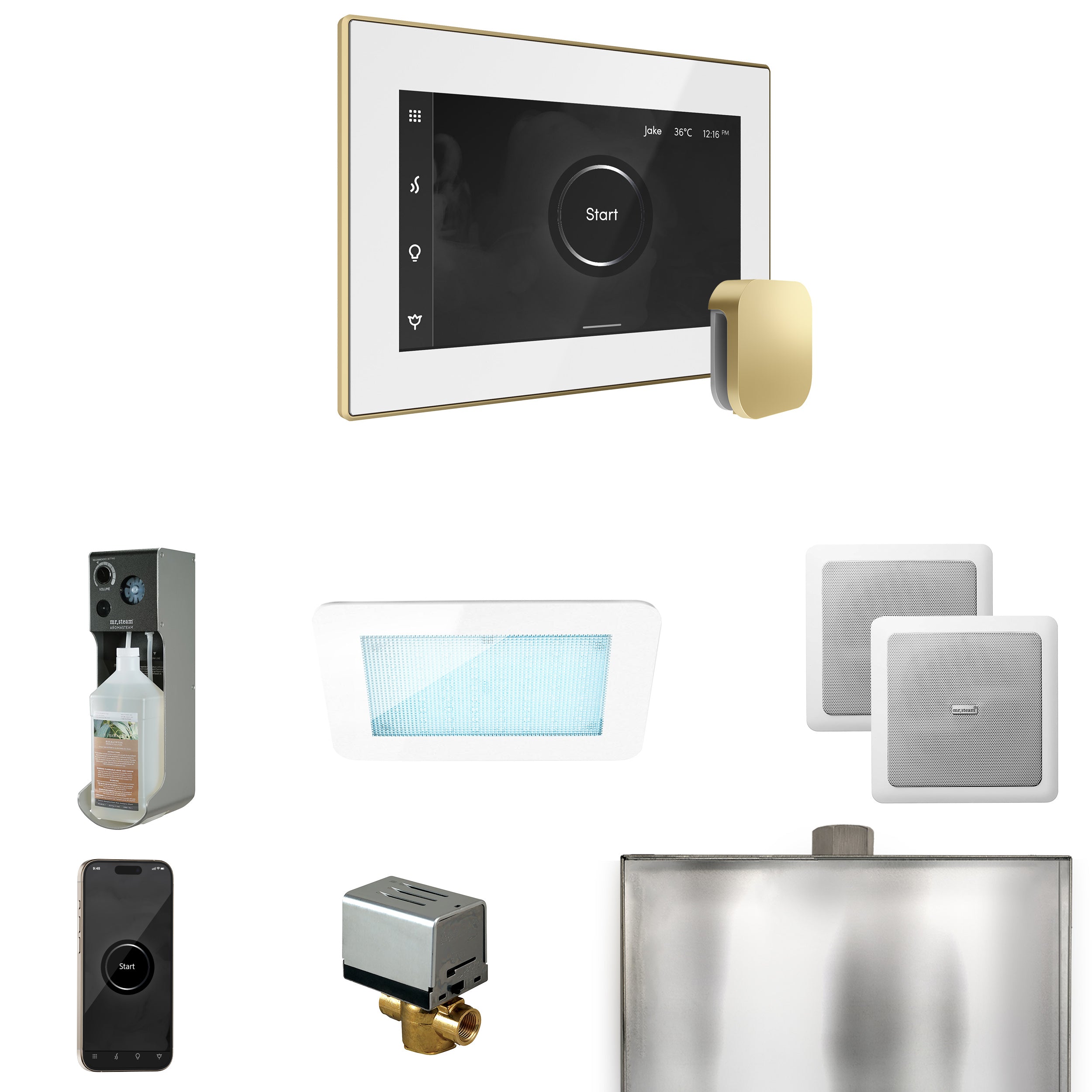 Mr. Steam XDream Steam Shower Control Package with iSteamX Control and Steamhead