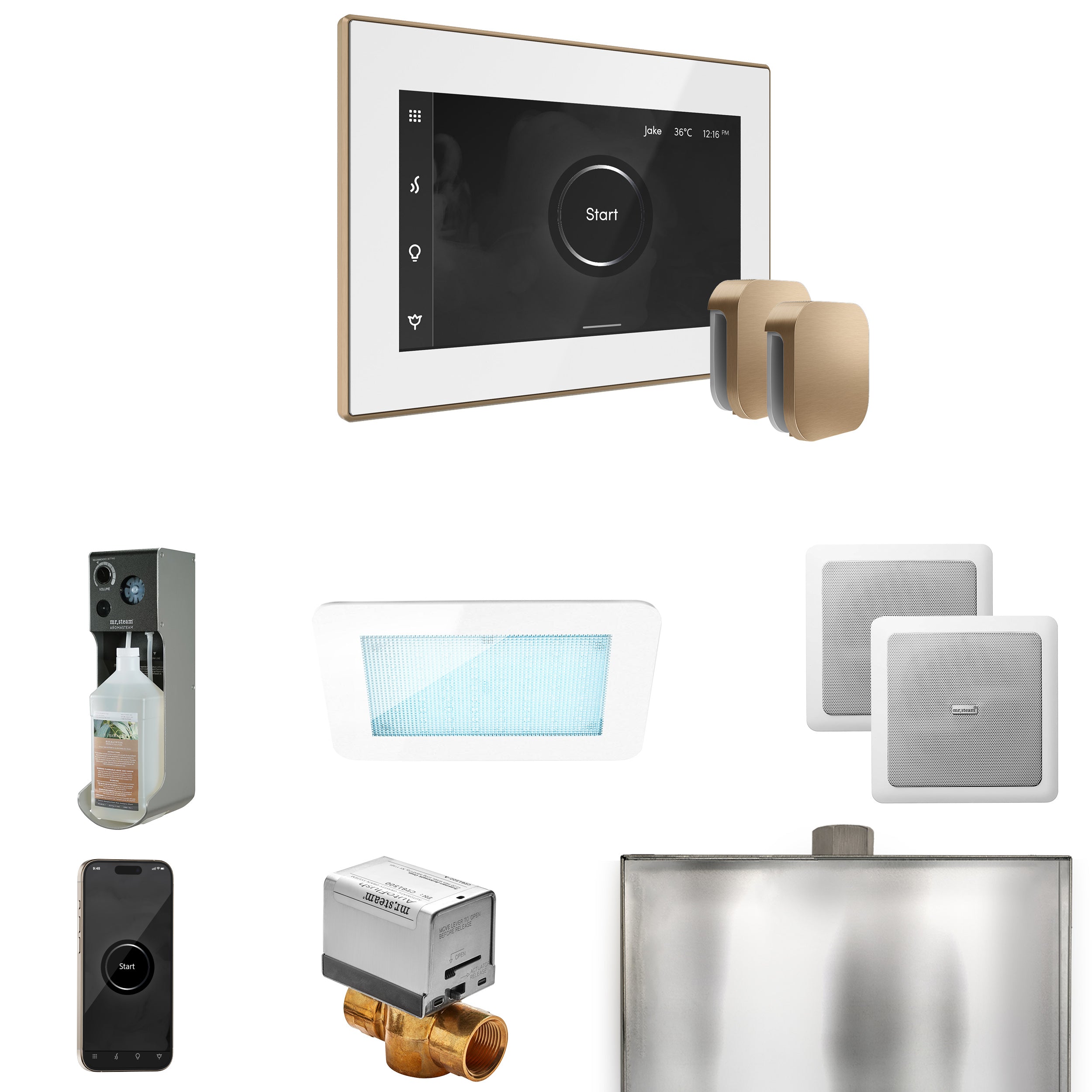 Mr. Steam Xdream Max Steam Shower Control Package with iSteamX Control and Steamhead