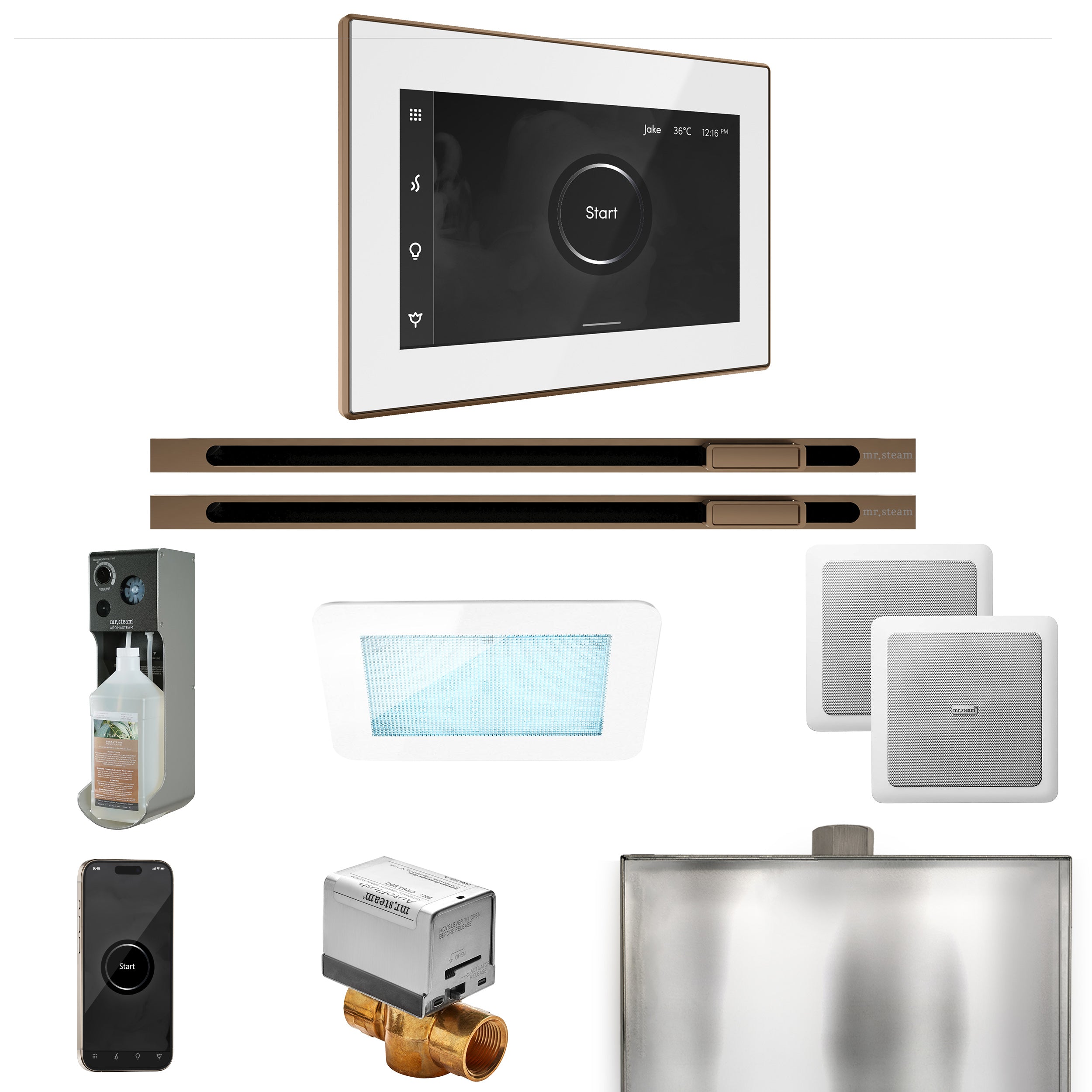 Mr. Steam Xdream Max Steam Shower Control Package with iSteamX Control and Linear Steamhead