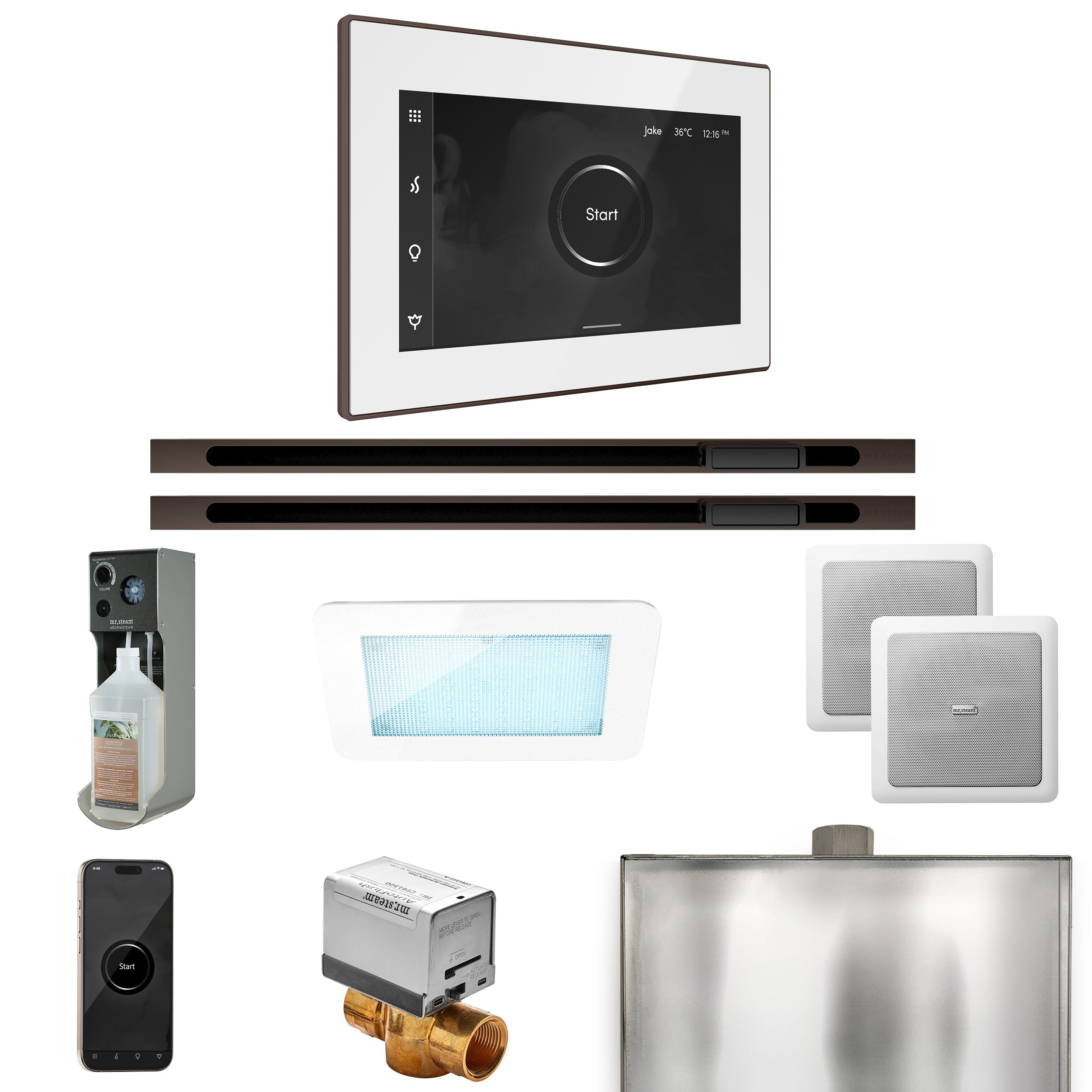Mr. Steam Xdream Max Steam Shower Control Package with iSteamX Control and Linear Steamhead