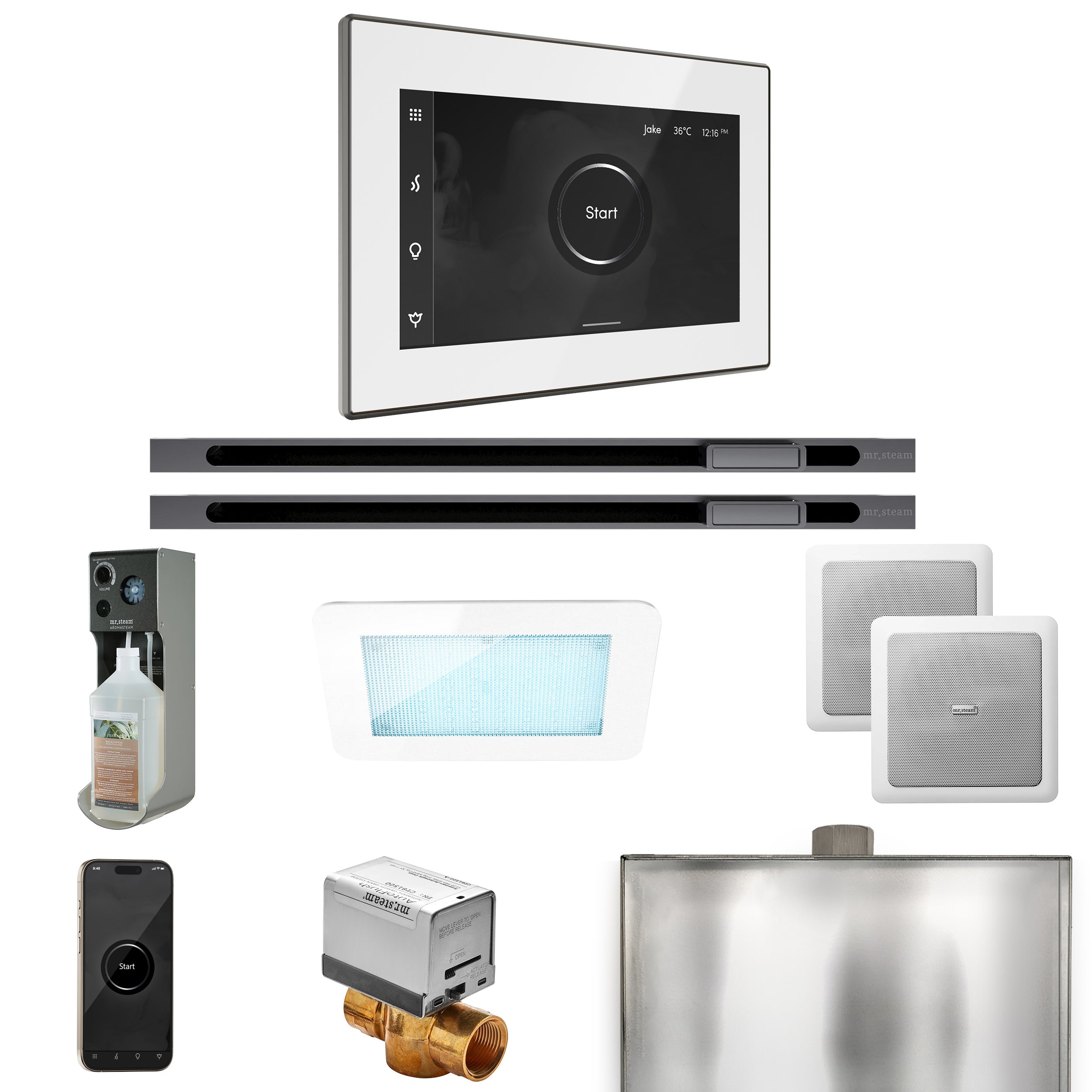 Mr. Steam Xdream Max Steam Shower Control Package with iSteamX Control and Linear Steamhead