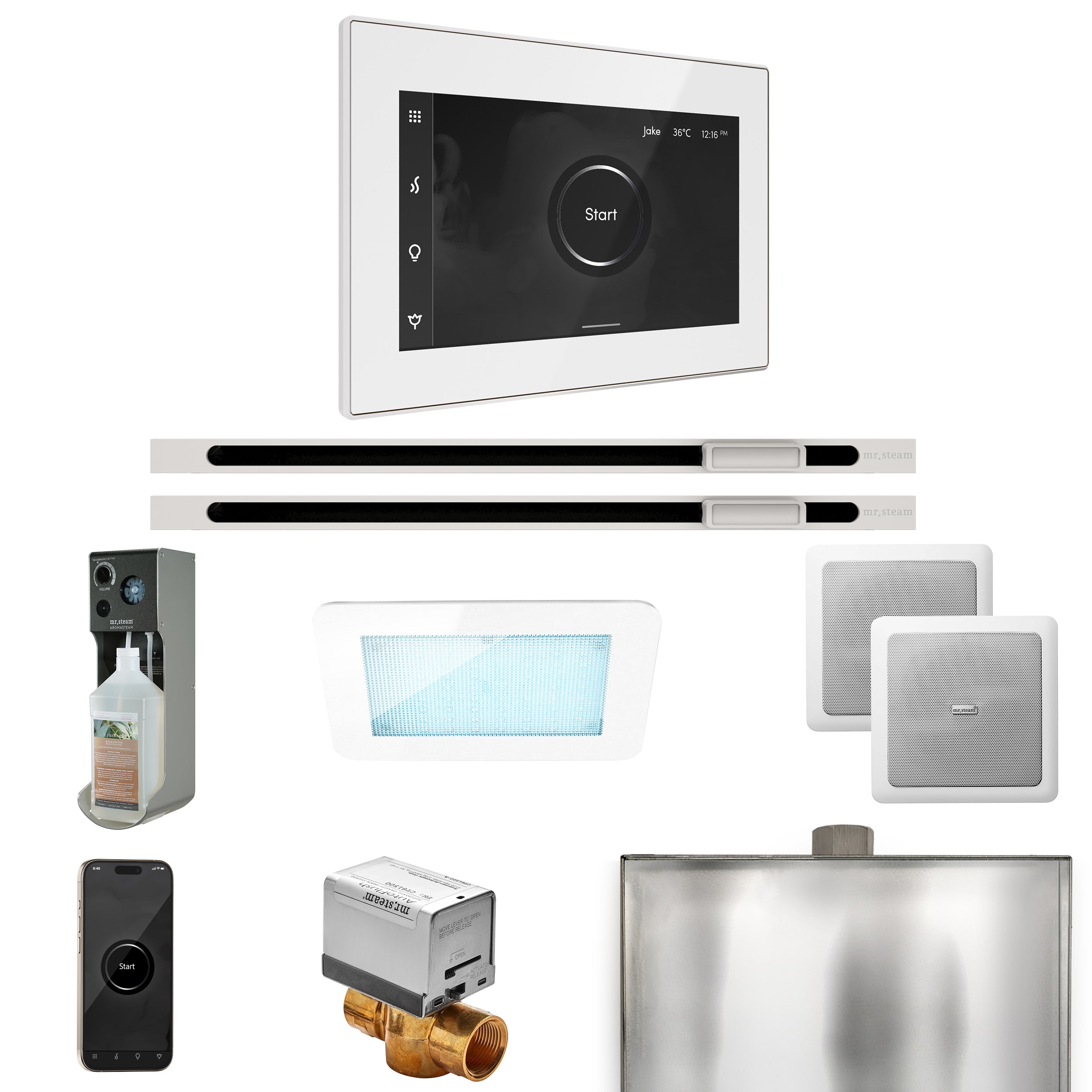 Mr. Steam Xdream Max Steam Shower Control Package with iSteamX Control and Linear Steamhead