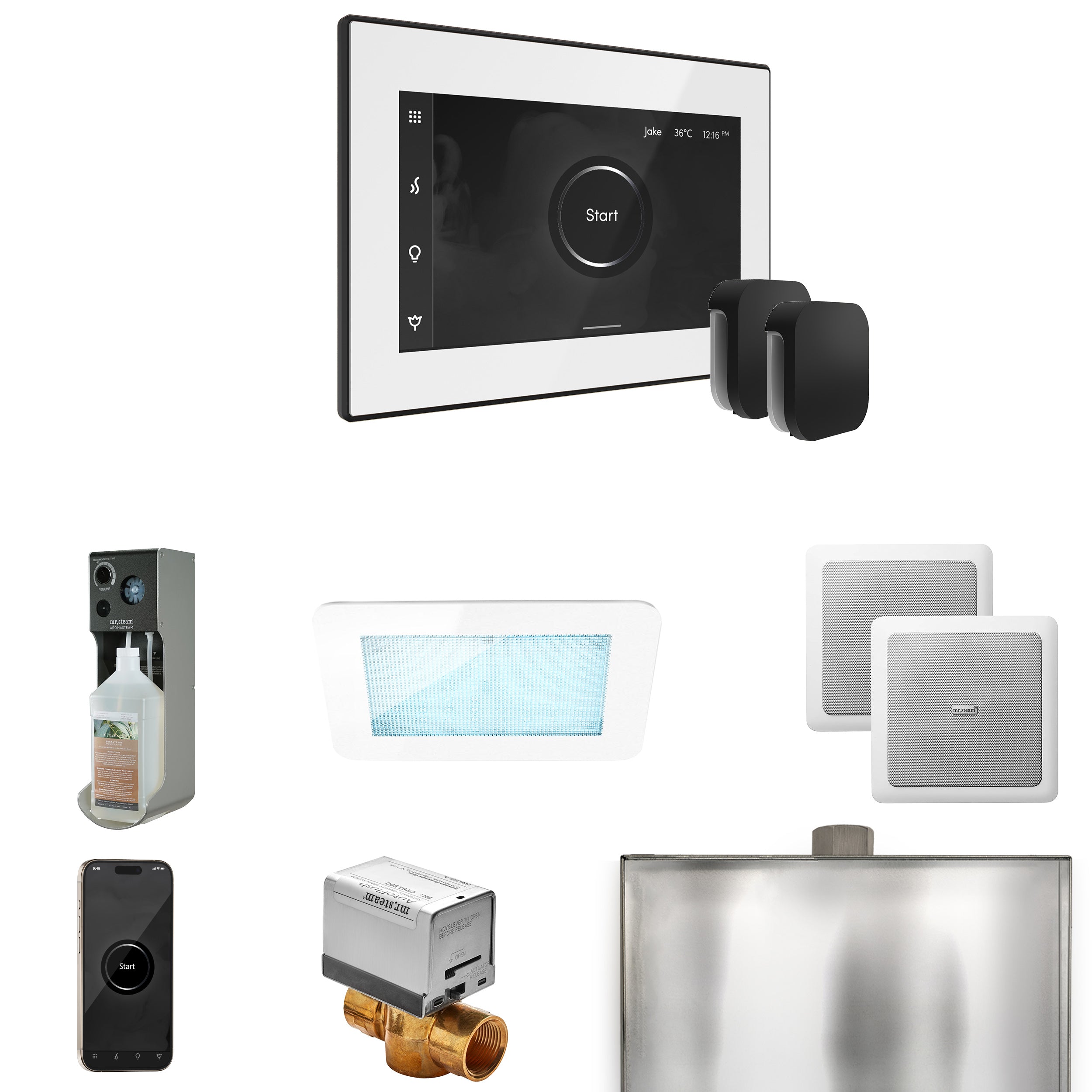 Mr. Steam Xdream Max Steam Shower Control Package with iSteamX Control and Steamhead