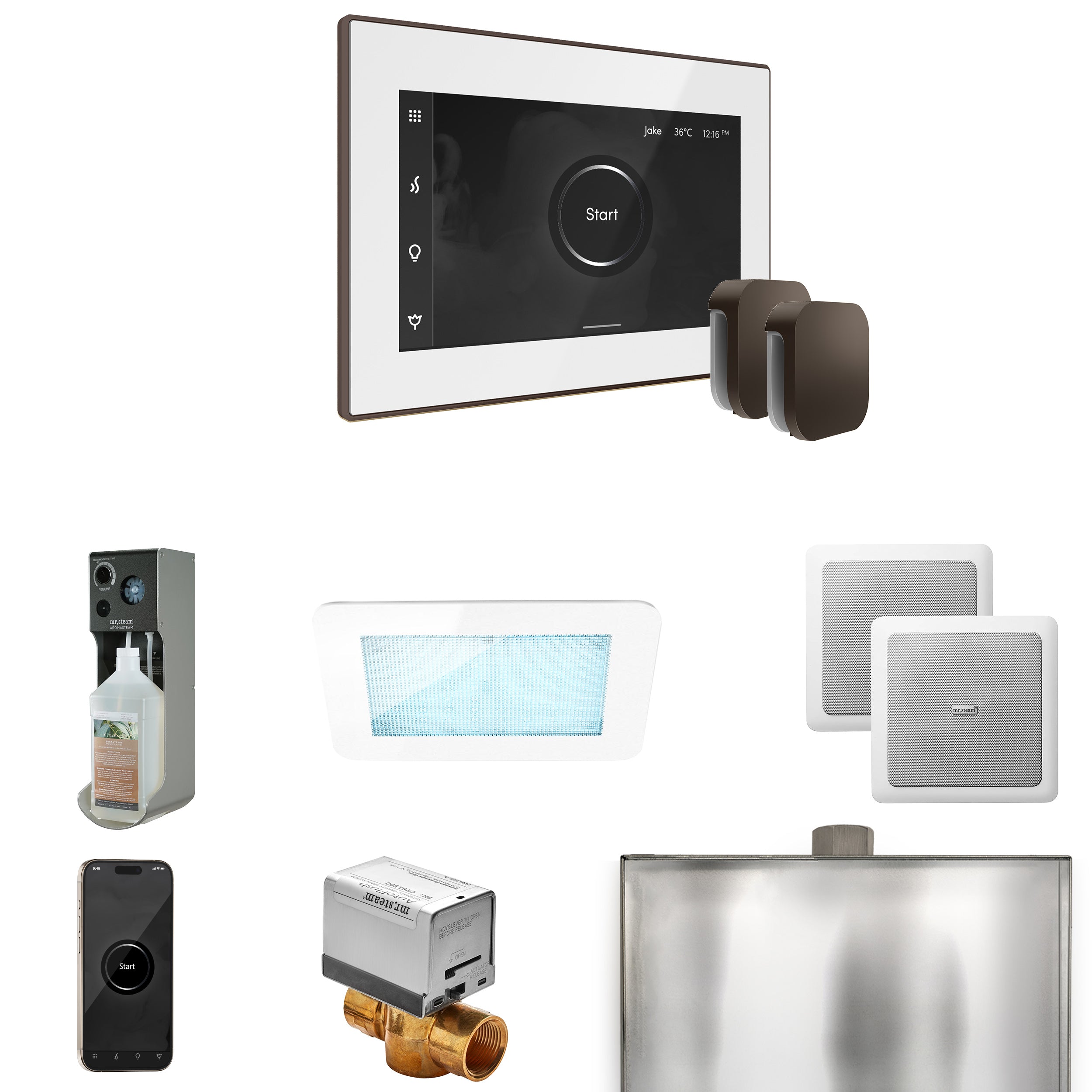 Mr. Steam Xdream Max Steam Shower Control Package with iSteamX Control and Steamhead