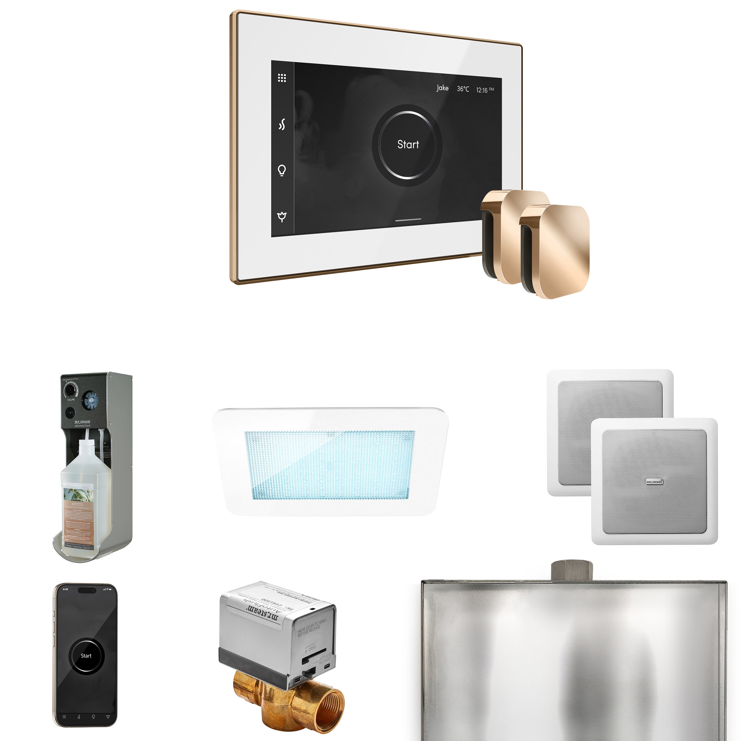 Mr. Steam Xdream Max Steam Shower Control Package with iSteamX Control and Steamhead
