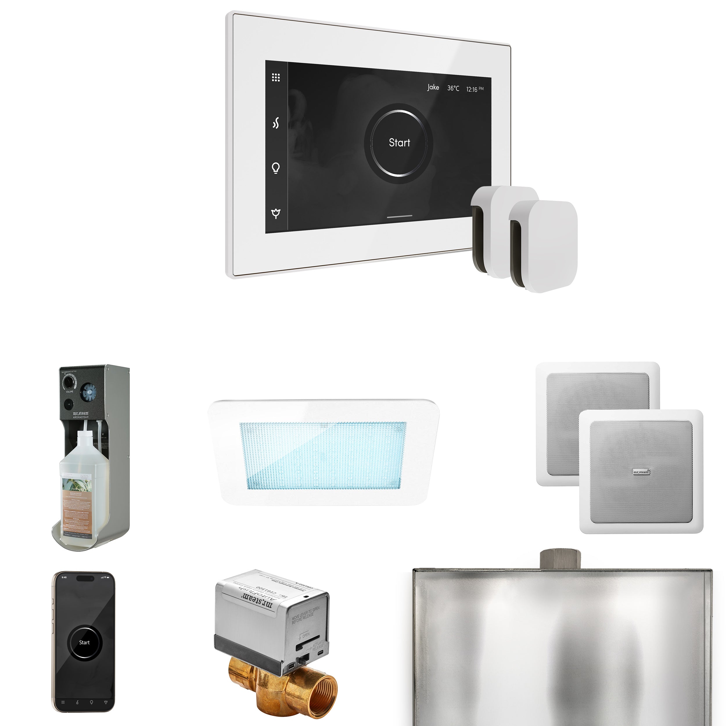 Mr. Steam Xdream Max Steam Shower Control Package with iSteamX Control and Steamhead