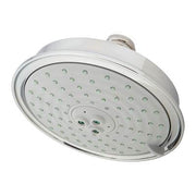 Polished chrome oval shower head with multiple spray jets and ceiling mount connection.