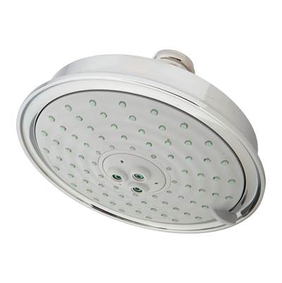 Polished chrome oval shower head with multiple spray jets and ceiling mount connection.