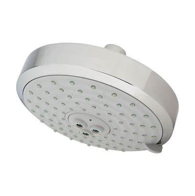 Polished chrome oval shower head with multiple spray holes and adjustment dial on face.