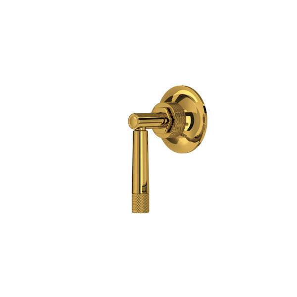 Unlacquered brass volume control and diverter trim with round backplate and lever handle.