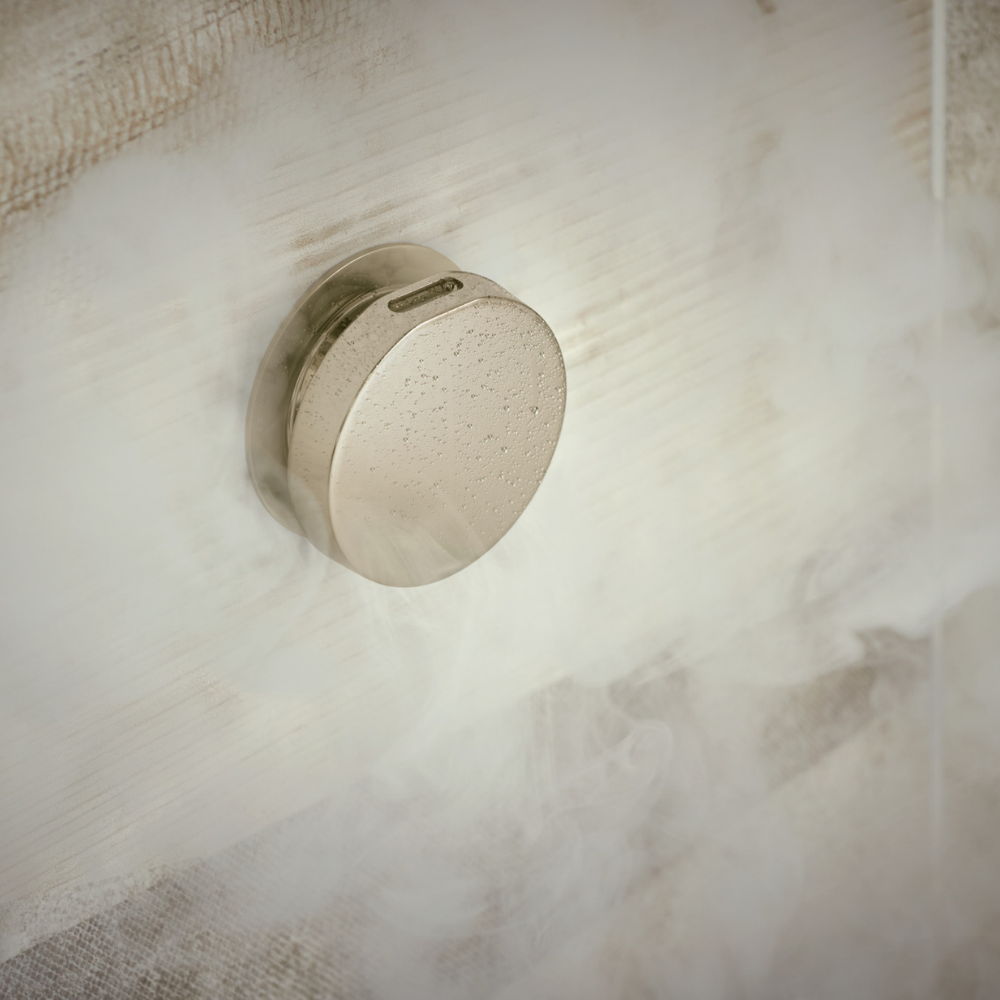 Polished nickel round steam valve with perforated face mounted on marble wall.
