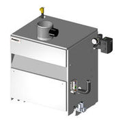 Cast iron natural gas boiler with gray and white exterior, top-mounted control valve, and side pipe connections.