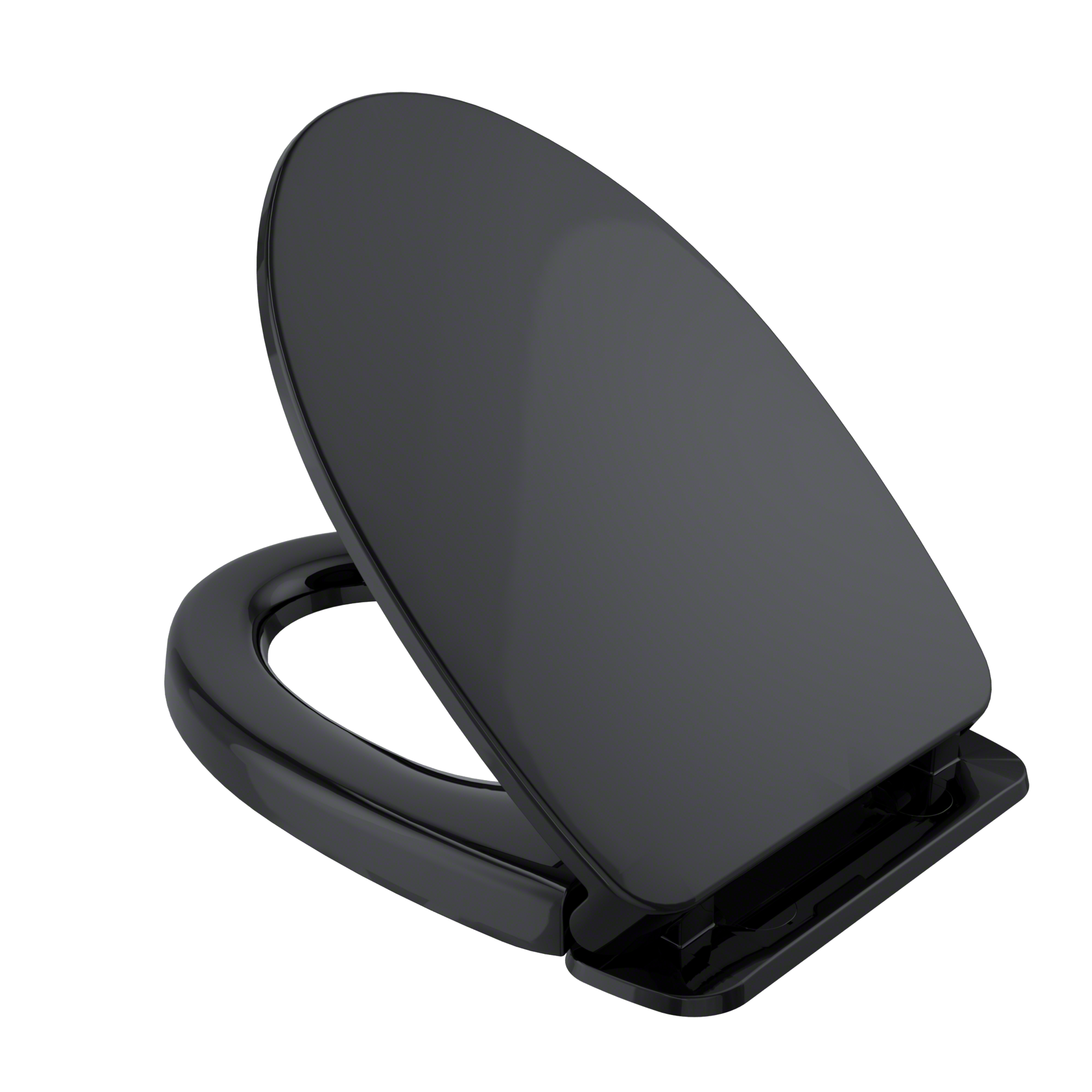 Ebony elongated toilet seat and lid with slow-close mechanism and black mounting hardware.