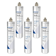 Five white cylindrical water filter cartridges labeled Pentair Everpure PBS-400 with brass fittings on top.