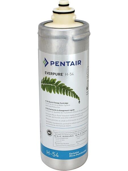 Pentair Everpure H-54 cylindrical water filter cartridge with cream-colored top and metallic silver body.