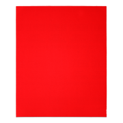 Red coarse-grit sanding sheet, 9 by 11 inches.