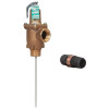 Bronze automatic temperature and pressure relief valve with coated thermostat and discharge line flood sensor.