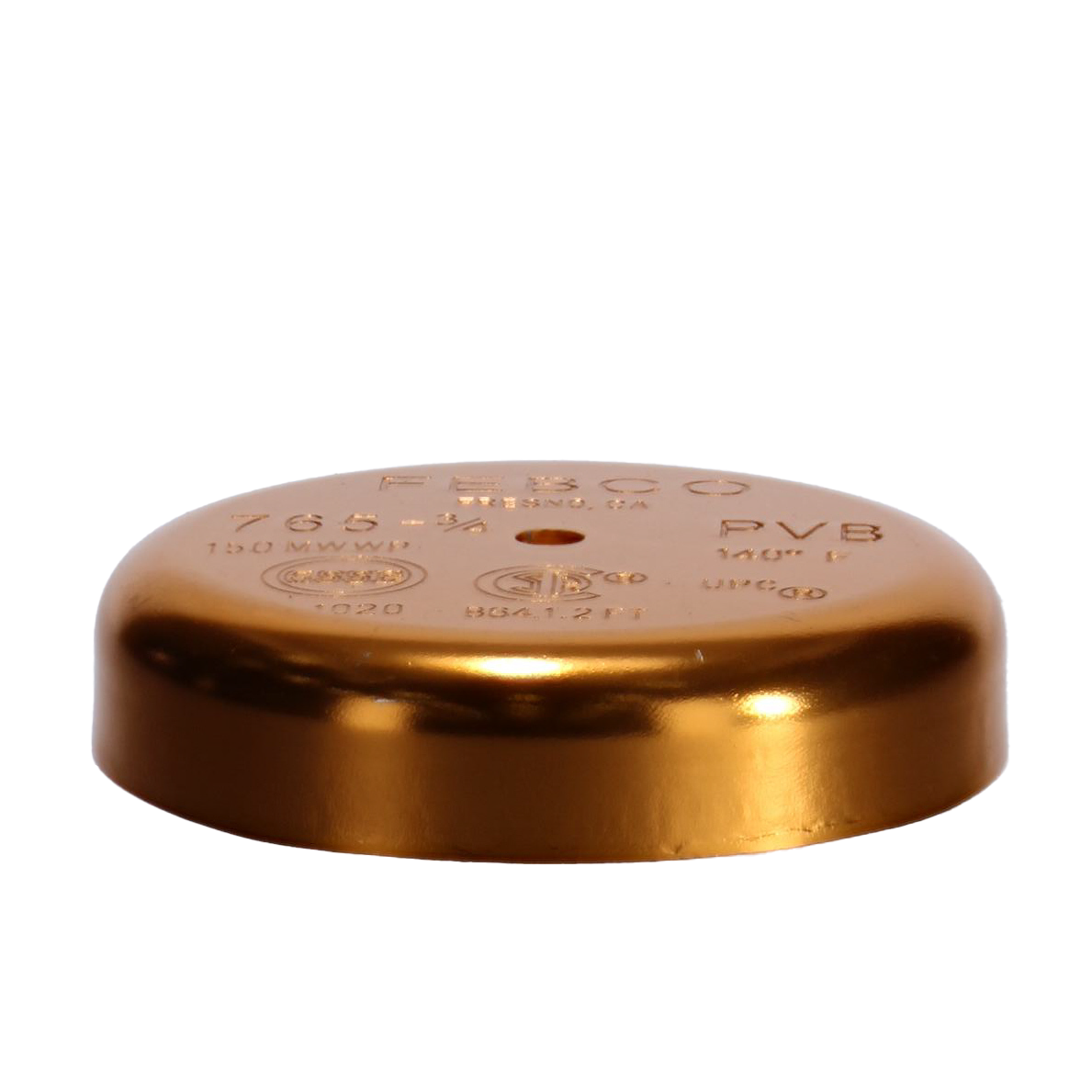 Watts 3/4" Canopy for 765 Pressure Vacuum Breaker - 300093