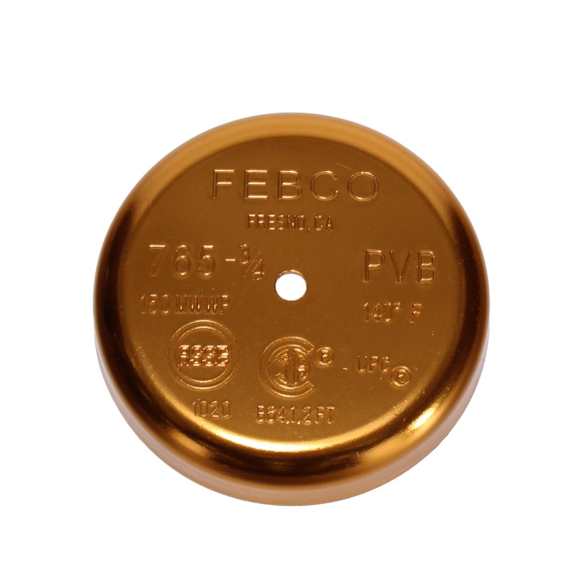 Watts 3/4" Canopy for 765 Pressure Vacuum Breaker - 300093