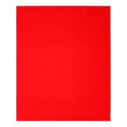 Red rectangular sanding sheet, 9 by 11 inches.