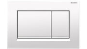 White rectangular dual-flush plate with two chrome buttons divided by vertical center line.
