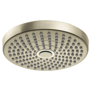 Polished nickel round shower head with multiple jet openings and center outlet.