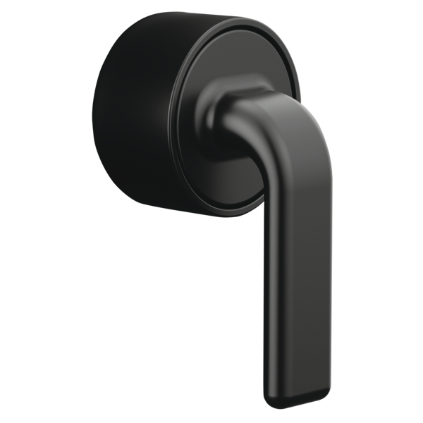 Black thermostatic valve trim with twist lever handle and circular escutcheon plate.