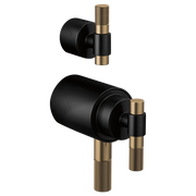 Matte black thermostatic valve with luxe gold accents and knurled handles, shown in two mounting configurations.