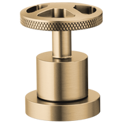 Brizo Litze Roman Tub Faucet Wheel Handle Kit