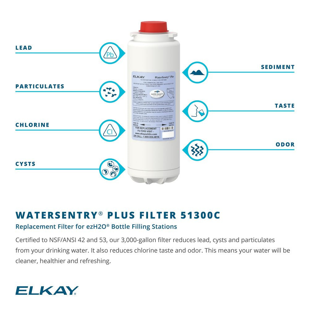 WaterSentry cylindrical filter cartridge with red cap and labeled diagram showing filtration targets: lead, particulates, chl